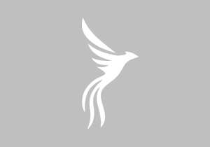 Project Phoenix